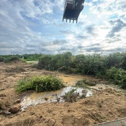Décapage de terrain et terrassement à Bouaye