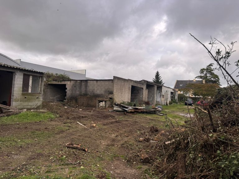 demolition-maison-saint-etienne-montluc-44
